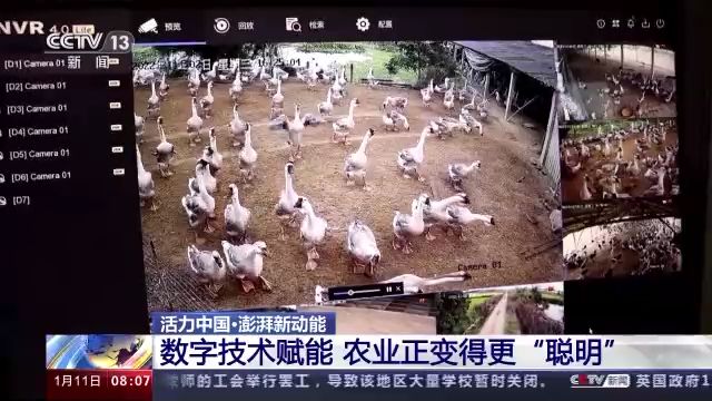 活力中國丨在數字化浪潮中感受中國經濟活力